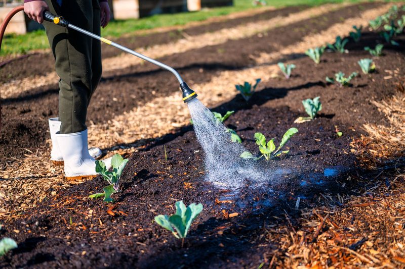 Zálivka z nádrže po první sezóně – Mohelnice, Nádrž 5 m³, čerpadlo s plovákem, 2 hydranty